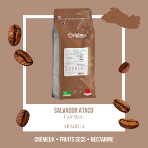Café Rare Bio - Salvador - Grain 1kg