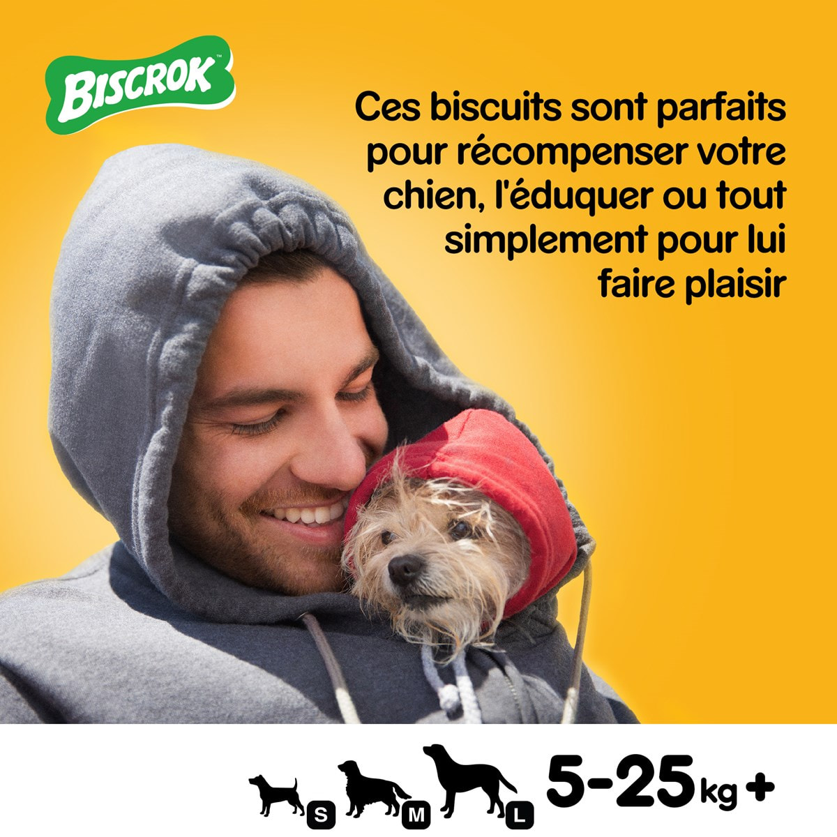 PEDIGREE Biscrok Biscuits croquants multi mix pour chien 6x500g