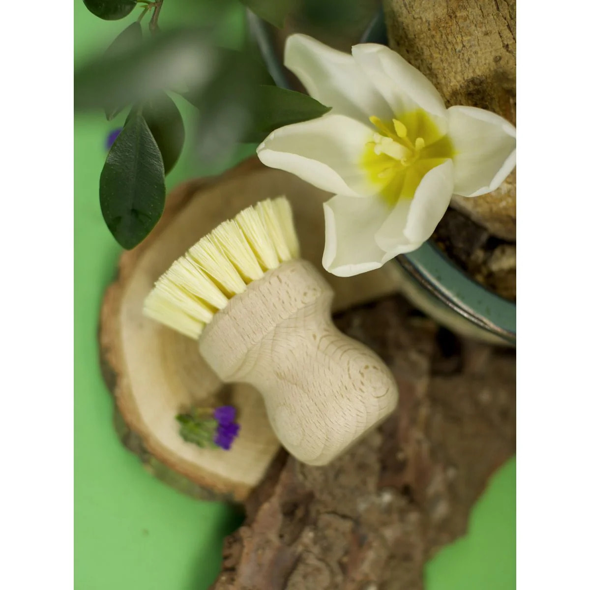 Brosse à vaisselle en bois Fackelmann