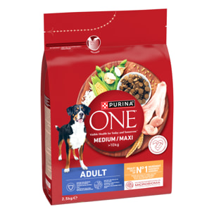 PURINA ONE CHIEN MEDIUM MAXI Poulet 2,5kg - Lot de 4