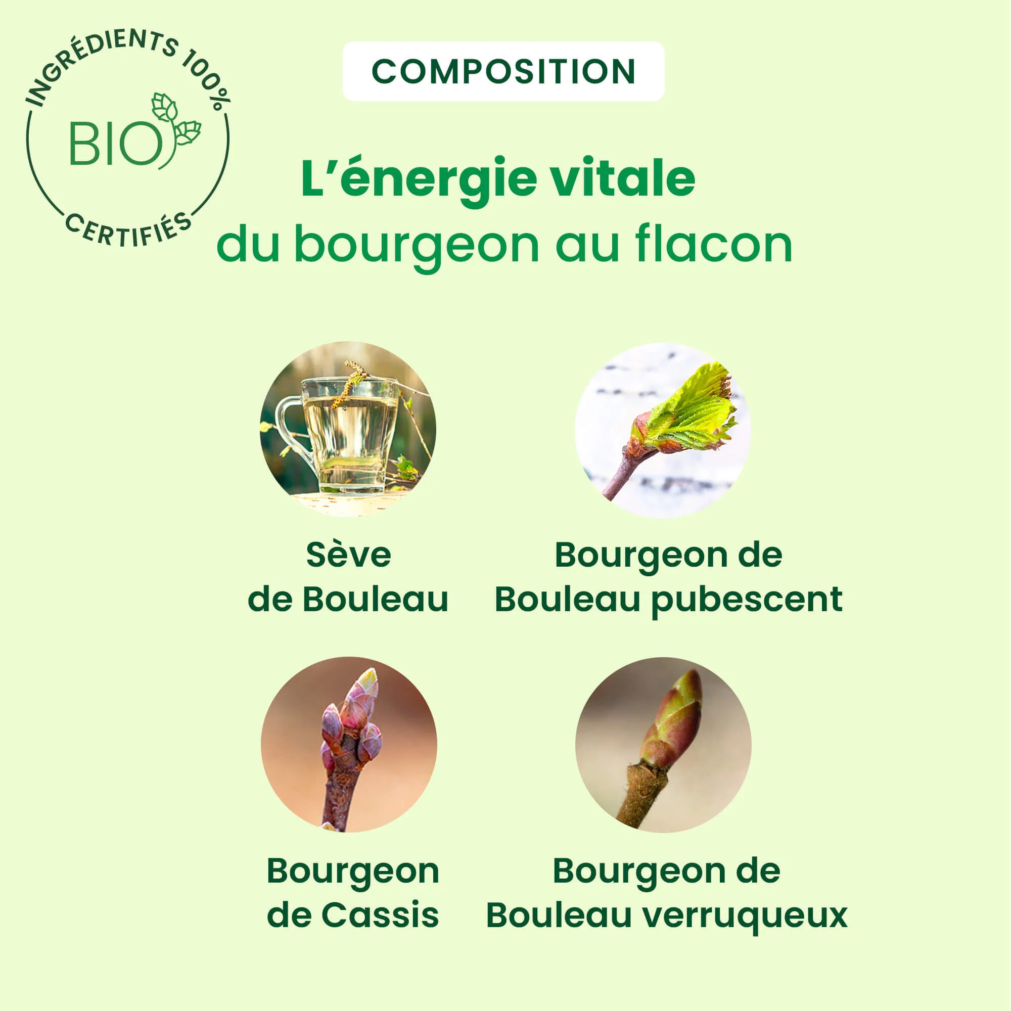 Herbalgem- Sève détox - Bio - 250 ml