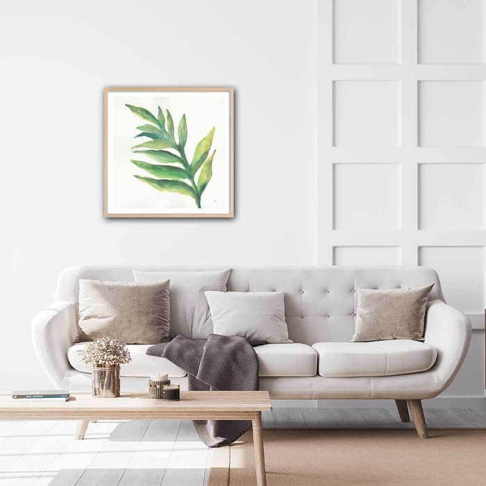 Affiche Plante aloe watercolor Affiche + cadre en bois - Chêne