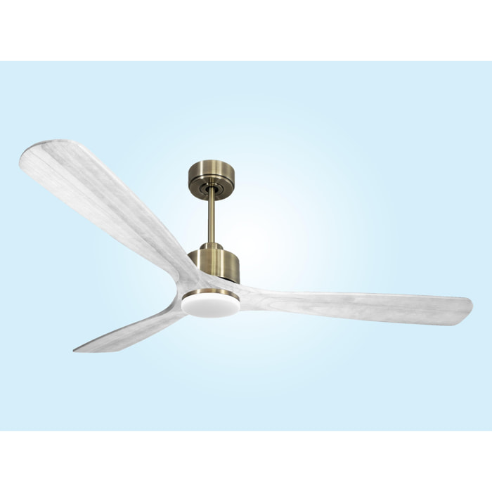 Ventilateur de plafond Réversible  Thermostat Dimmable Wifi Moteur à courant continu Toits en pente Télécommande Lumière à trois tons Hypersilence Mémoire