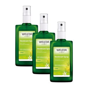 WELEDA - Trio Déodorant spray Citrus - 100% d'origine naturelle - Vegan* - Certifié Natrue** -Vaporisateur 100 ml  x 3