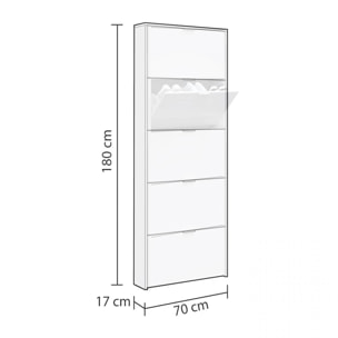 Zapatero Nia 5 Puertas Blanco Brillo