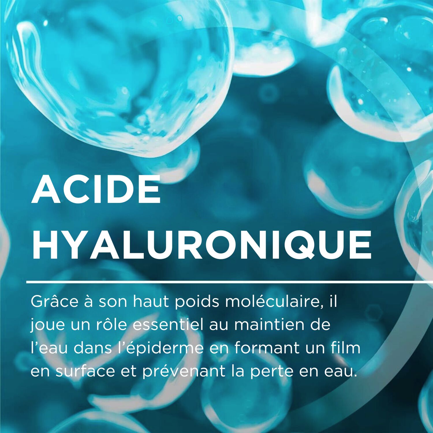 Hydrabio - Crème d'eau hydratante 72h