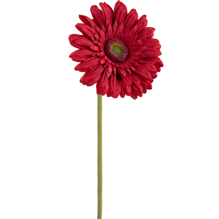 Fiore Di Gerbera Singolo. Altezza 62 Cm - Pezzi 12 - 12X62X12cm - Colore: Rosso - Bianchi Dino - Fiori Artificiali