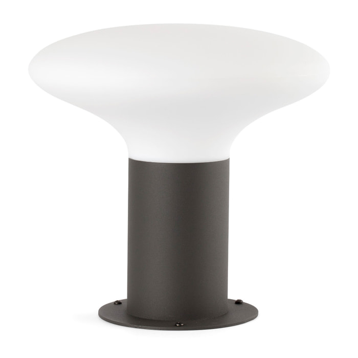 BLUBS 240 Sobremuro gris oscuro