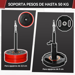 Poleas Gimnasio para Casa, Sistema de Polea de Cable de Peso para Gimnasio, para Tracción LAT, Rizo de Bíceps, Tríceps, Entrenamiento de Brazo, Hombros y Espalda