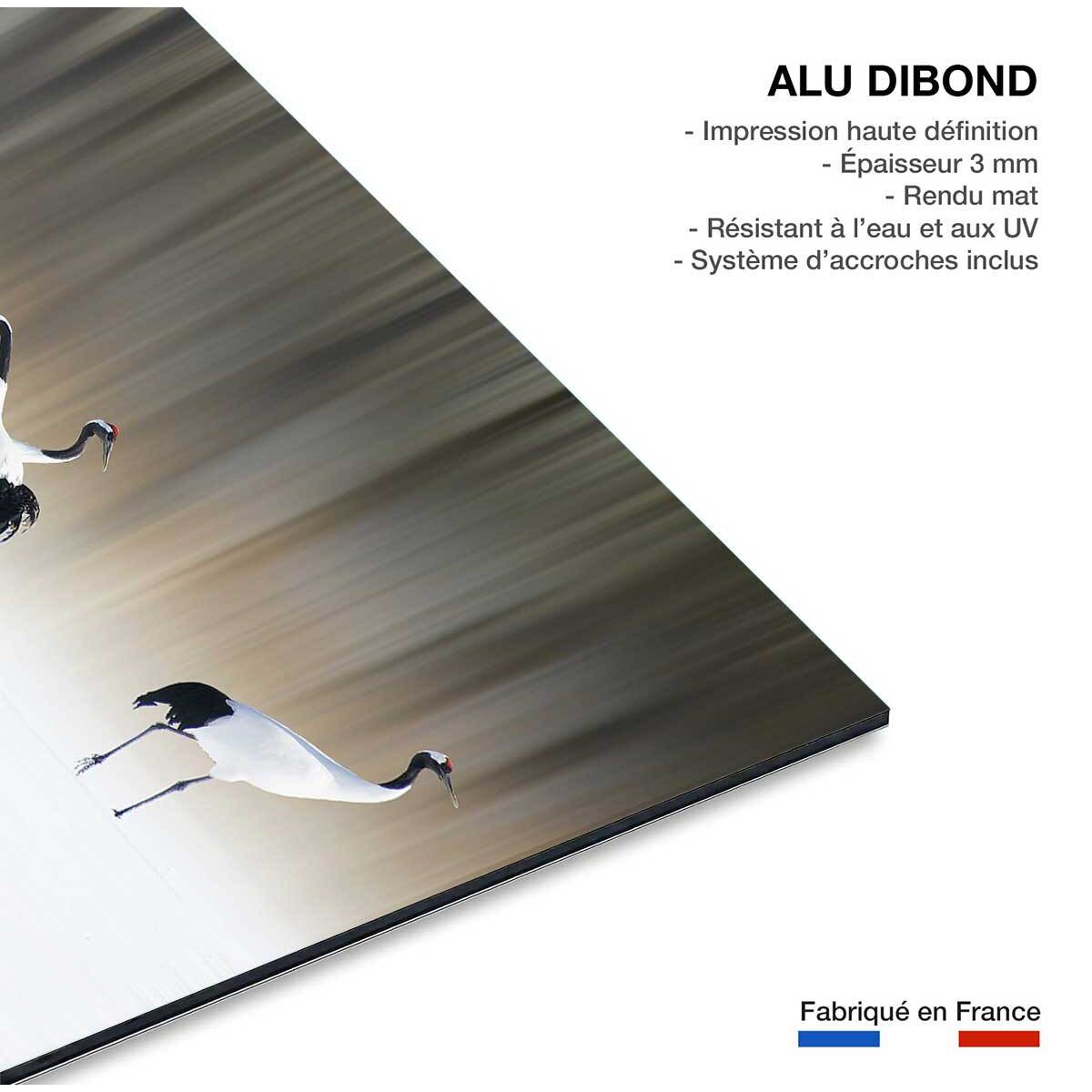 Tableau oiseaux Japanese crane Tableau alu Dibond