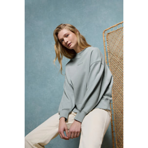 Felpa basic a girocollo color grigiastro Minimal Polo Club