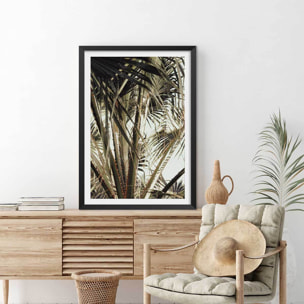 Poster cœur de palmier Affiche seule