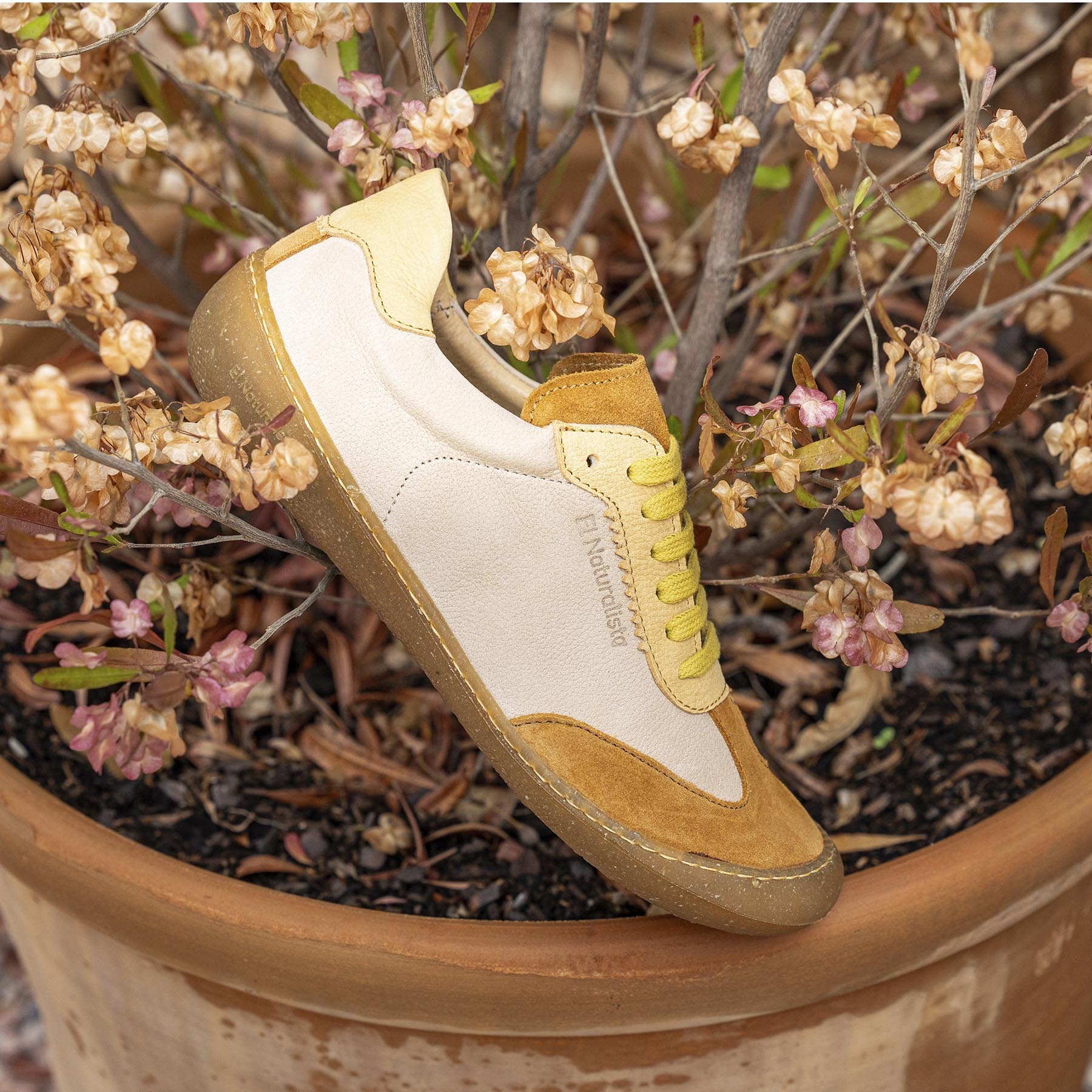 Zapatos N5766 MULTI LEATHER SELVA/PAWIKAN color Selva