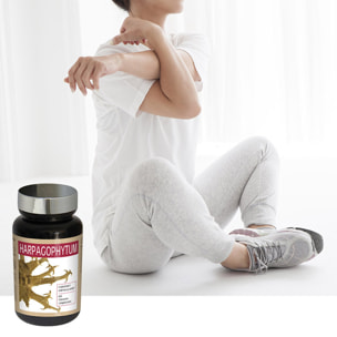 NUTRI EXPERT - Harpagophytum - Favorise la Mobilité Articulaire - Améliore la Flexibilité des Articulations et Tendons - Soulage les Douleurs Articulaires - Végan - 60 Gélules