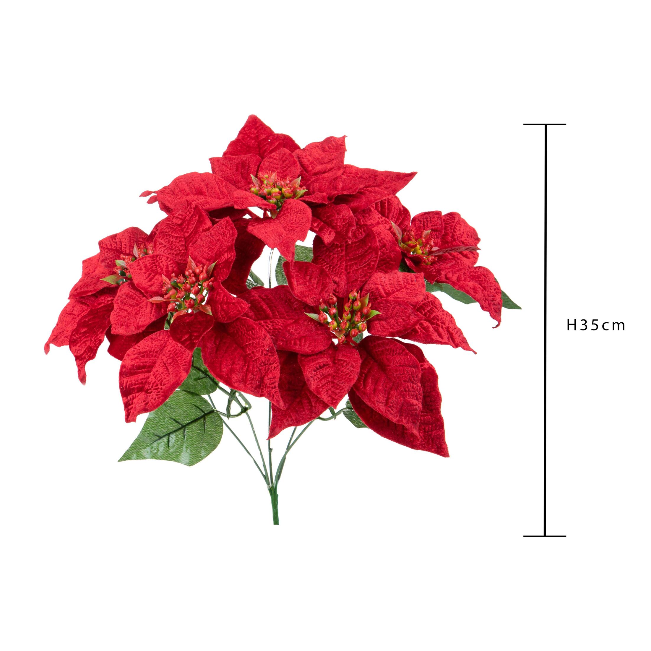Stella natale velluto - Pezzi 12 - ROSSO - Bianchi Dino SpA