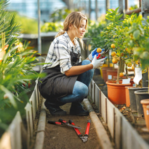 Juego de Herramientas para Jardín de 3 Piezas Juego de Herramientas Jardinería con Tijeras de Jardín Cortarramas Tijeras de Podar y Mangos de Goma Antideslizantes Ligera Para Podar Plantas