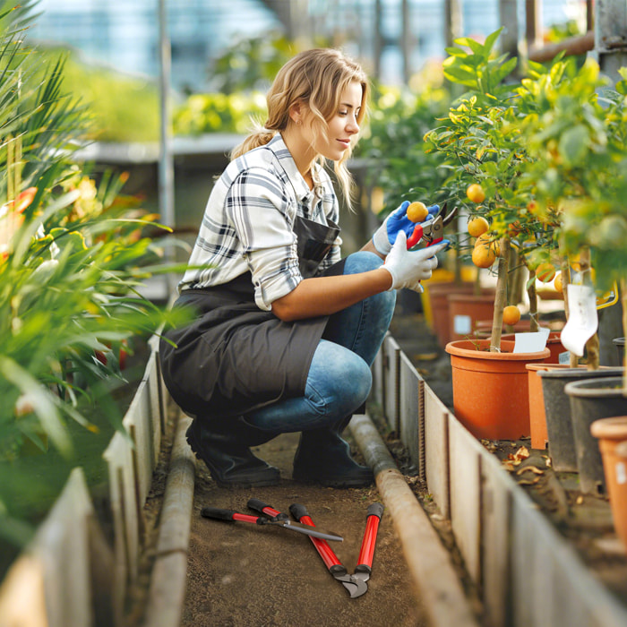 Juego de Herramientas para Jardín de 3 Piezas Juego de Herramientas Jardinería con Tijeras de Jardín Cortarramas Tijeras de Podar y Mangos de Goma Antideslizantes Ligera Para Podar Plantas