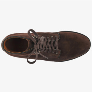 Sebago - Stivaletti Uomo Marrone - ALFORD