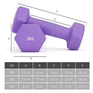 Support noir pour 6 haltères vinyles - 6 haltères incluses total 12 Kg - noir rose bleu violet