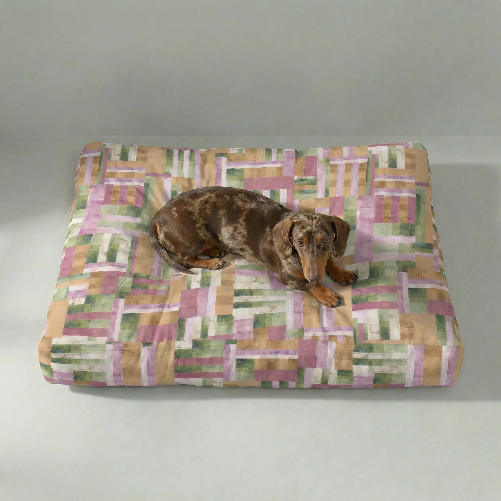 Lit pour animaux antitaches Diss 1