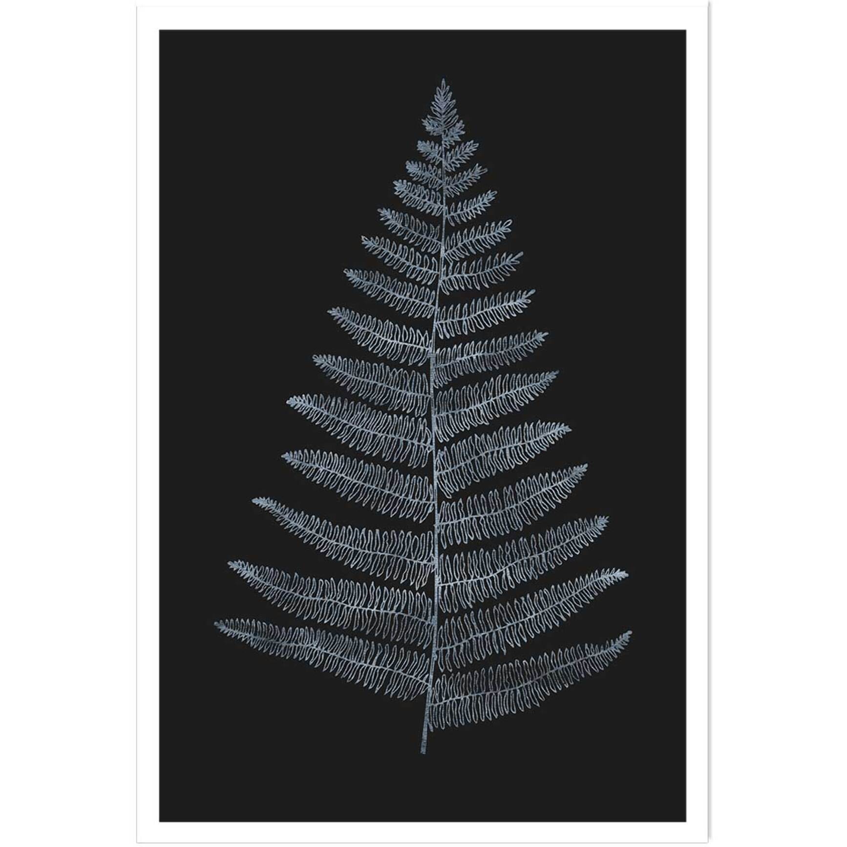 Poster fougère royale blanche Affiche seule