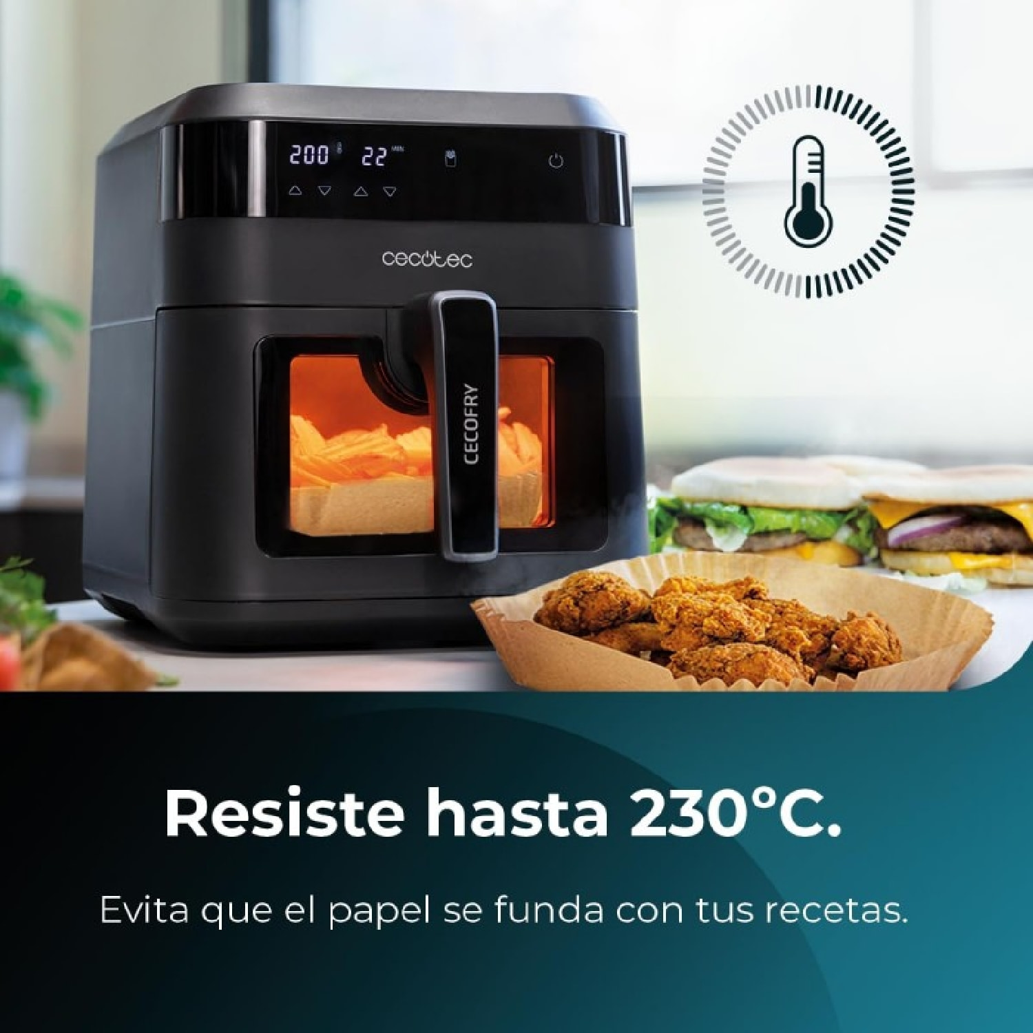 Cecotec Accesorio para freidoras sin aceite Cecofry Paper Pack