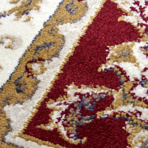 Tapis salon Rectangulaire Oriental