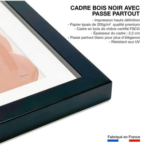 Affiche Pétale passion Affiche sous cadre noir
