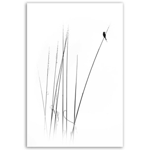 Tableau oiseaux En haut de la branche Toile imprimée