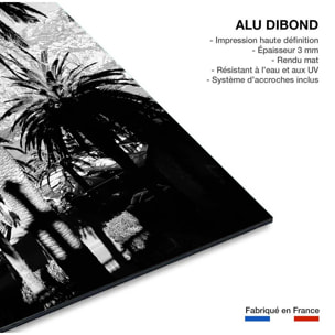 Tableau noir et blanc palmiers monténégro Tableau alu Dibond
