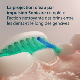 Brossette dentaire PHILIPS Sonicare lot de 2 - HX6012/87 white ProResults C1