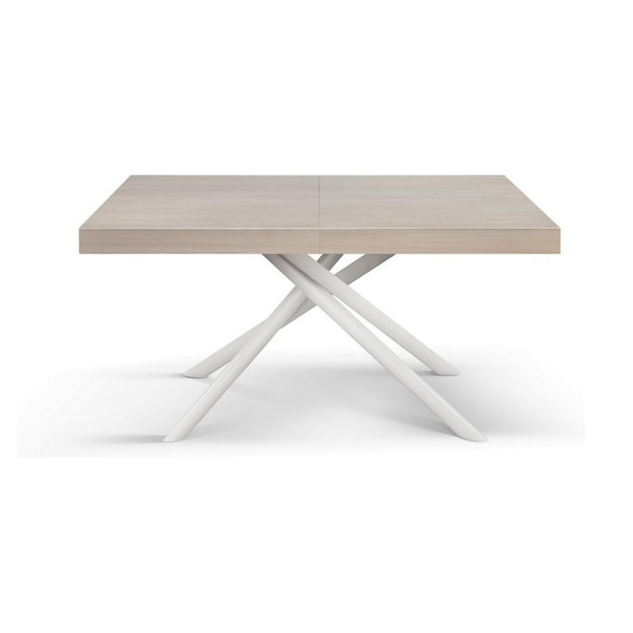 Tavolo CARRARA in legno, finitura olmo perla e base in metallo verniciato bianco, allungabile 140x90 cm - 220x90 cm