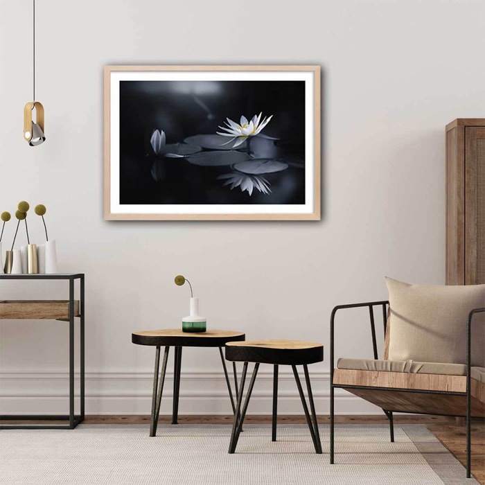 Affiche fleurs Alba nénuphar Affiche sous cadre bois