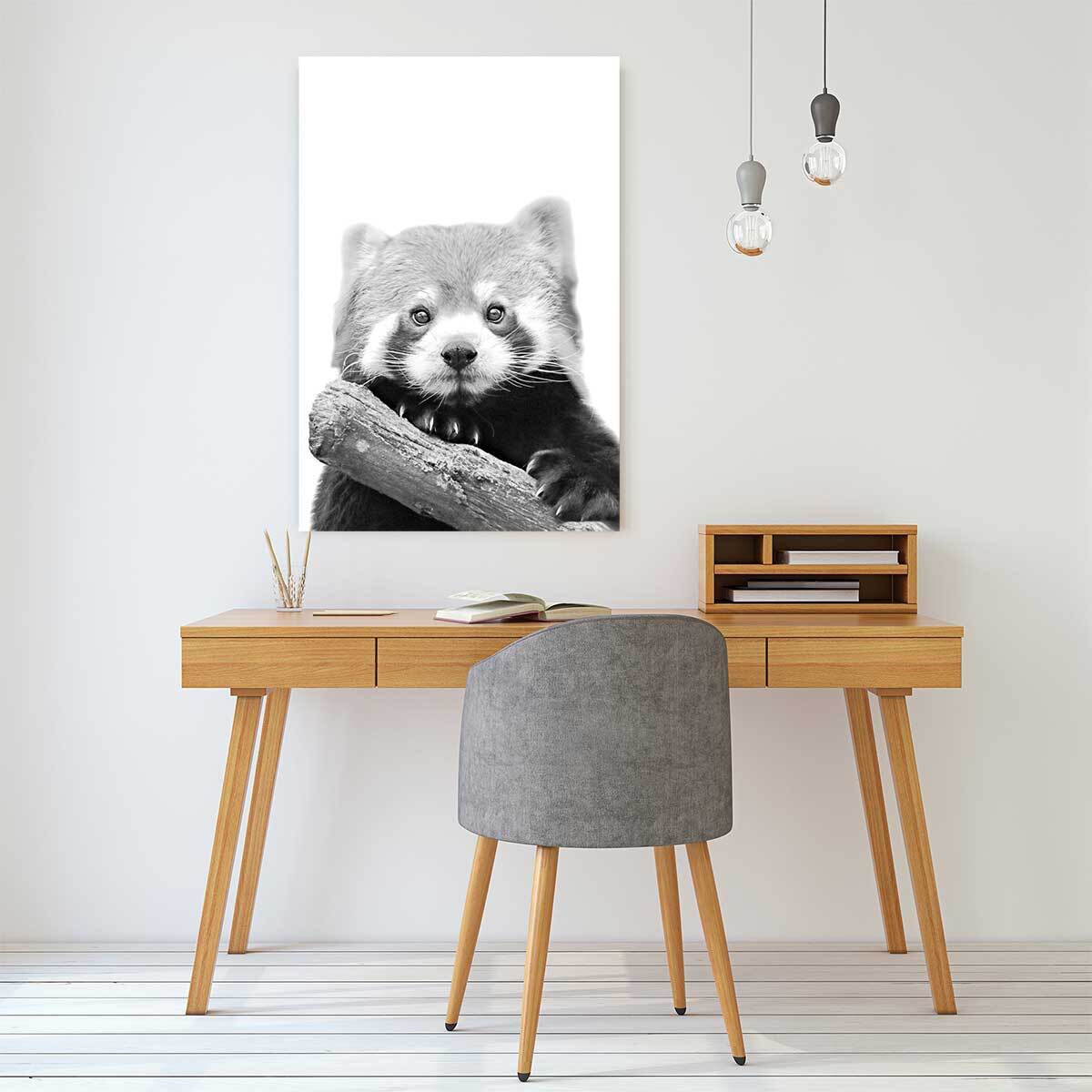 Tableau animaux panda roux  Toile imprimée