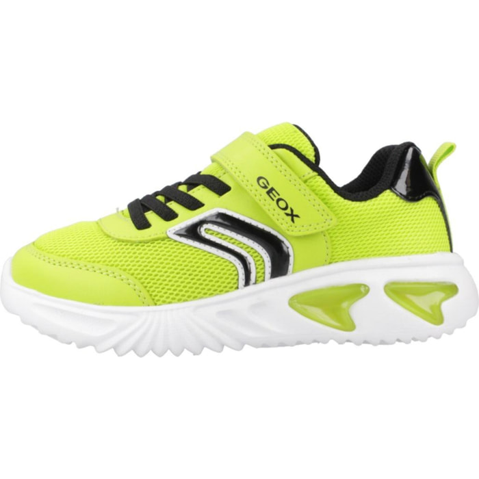 Zapatillas Niño de la marca GEOX  modelo J ASSISTER BOY VERDE