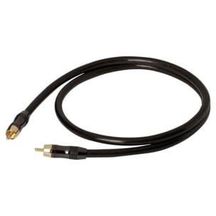 Câble subwoofer REAL CABLE subwoofer 2mètres