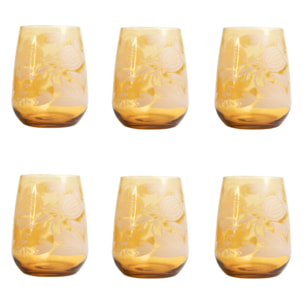 Set 6 bicchieri da acqua Lysis