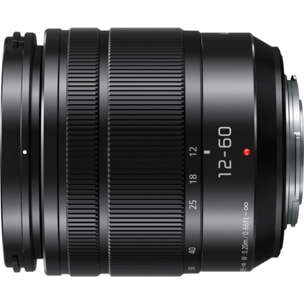 Objectif pour Hybride PANASONIC 12-60mm f3.5-5.6 ASPH