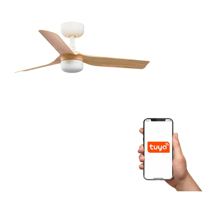 MINI PUNT S LED Ventilateur de plafond blanc/bois clair TUYA