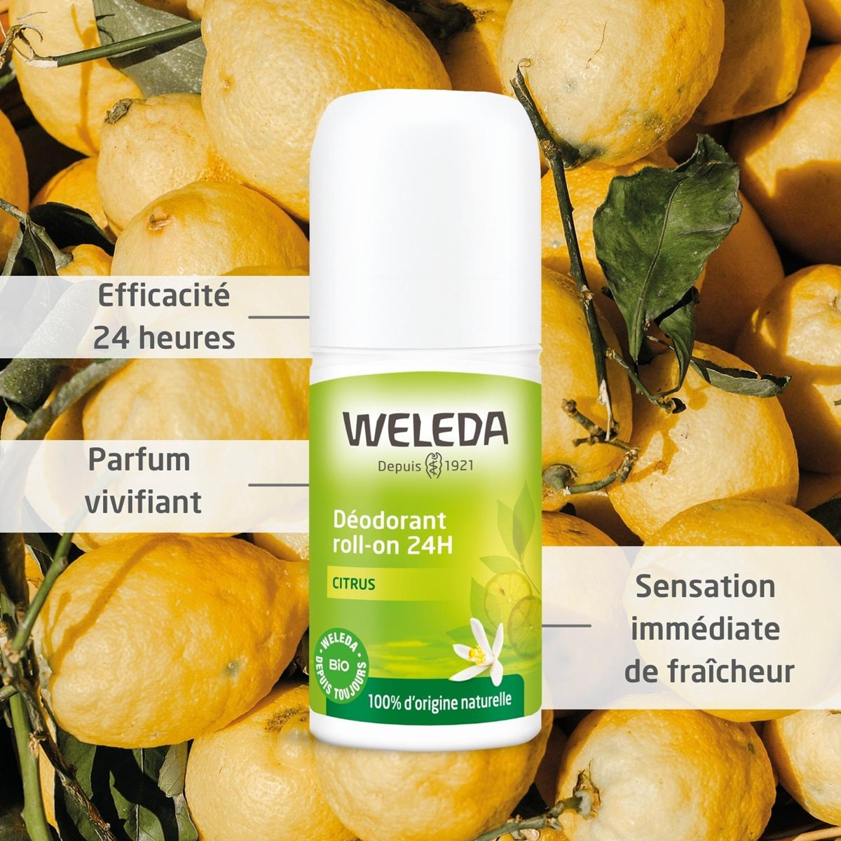 WELEDA - Déodorant roll-on 24H Citrus - 50 ml