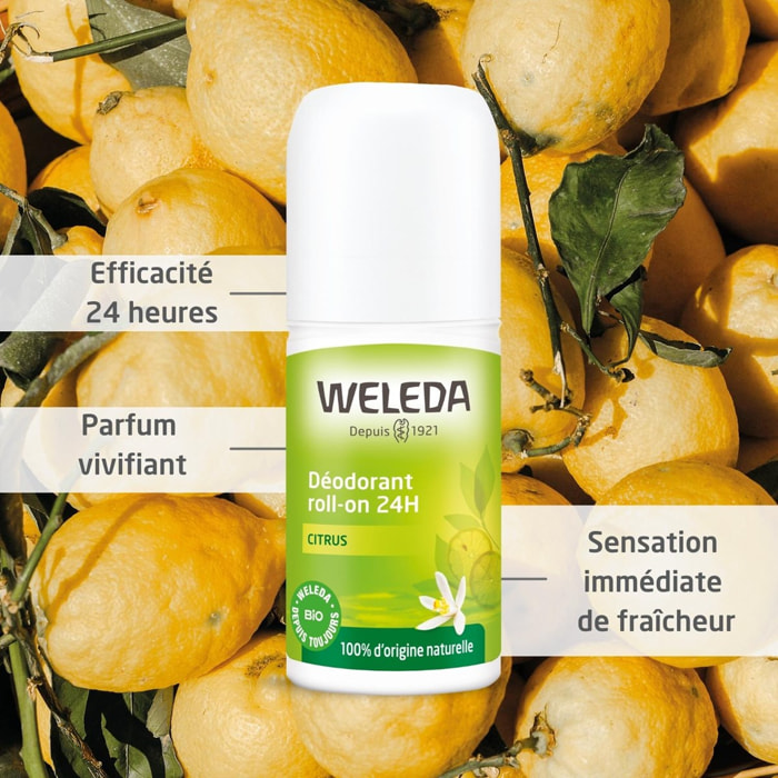 WELEDA - Déodorant roll-on 24H Citrus - 50 ml