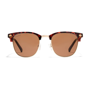 Gafas De Sol D. Franklin Memphis