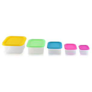 Ensemble de boites de conservations alimentaires 5 pièces Herzberg HGSFS5N1