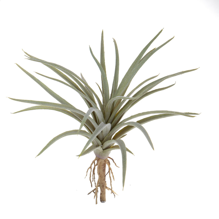 Tillandsia Per 21 25 Cm - Pezzi 6 - 10X25X10cm - Colore: Verde - Bianchi Dino - Piante Artificiali