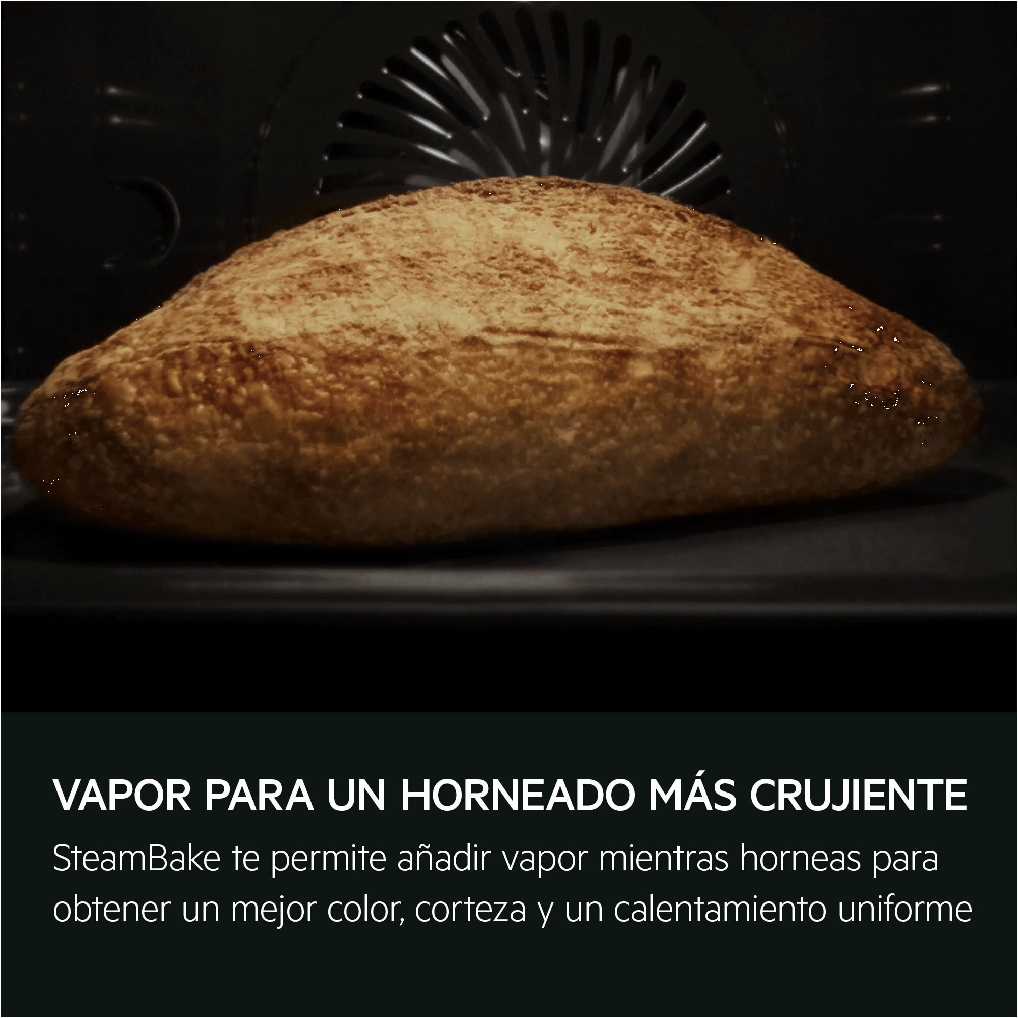 AEG Horno compacto Serie 7000 MealAssist con SteamBake con Display CookSmart Touch 4,3 '', con WiFi TA7PK721B