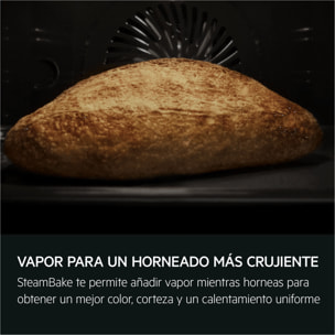 AEG Horno compacto Serie 7000 MealAssist con SteamBake con Display CookSmart Touch 4,3 '', con WiFi TA7PK721B