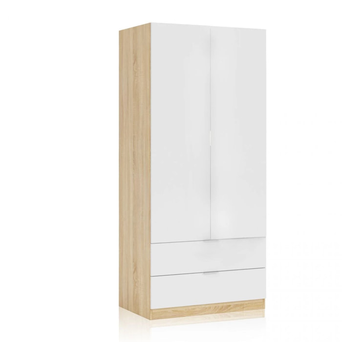 Armario Lark 2 Puertas 2 Cajones Blanco Artik (Blanco Mate) - Roble Canadian