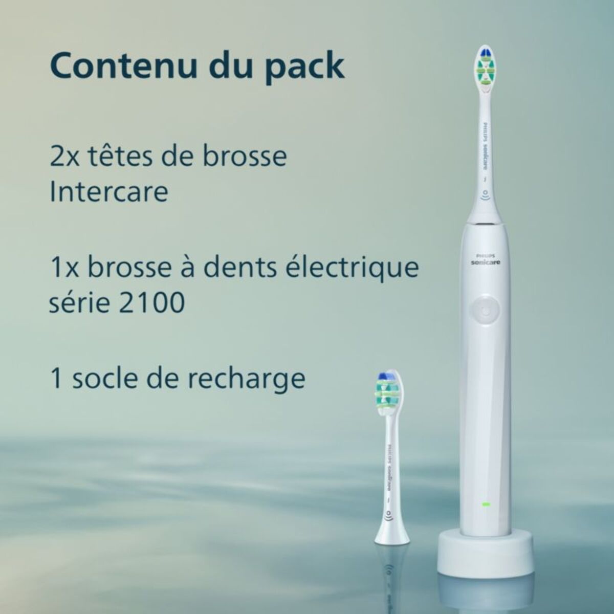 Brosse à dents électrique PHILIPS HX4022/01 Serie 2100 Blanche