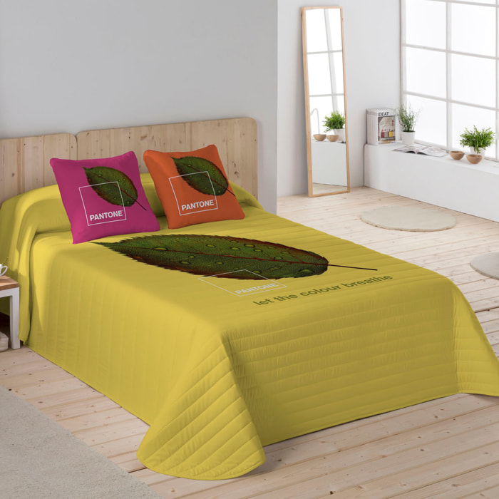 Colcha Bouti Estampada - 2/3 Piezas - 100% Poliéster - Microfibra - 70 gr/m² - Nauek Grey