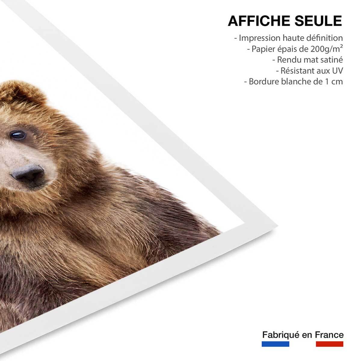 Affiche enfant bébé ours  Affiche seule